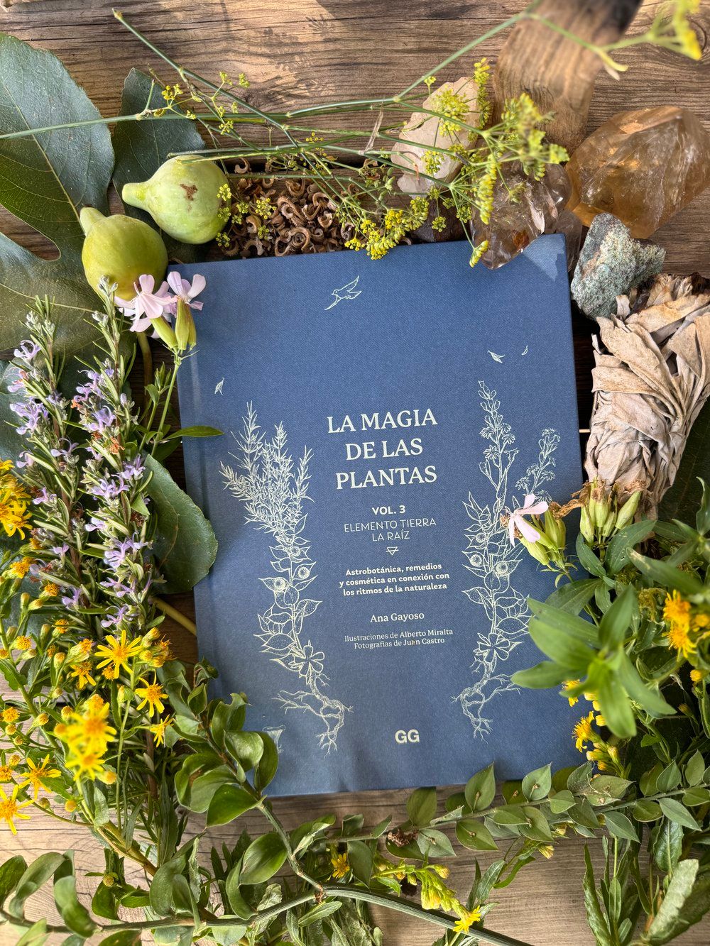 LA MAGIA DE LAS PLANTAS - VOL.3