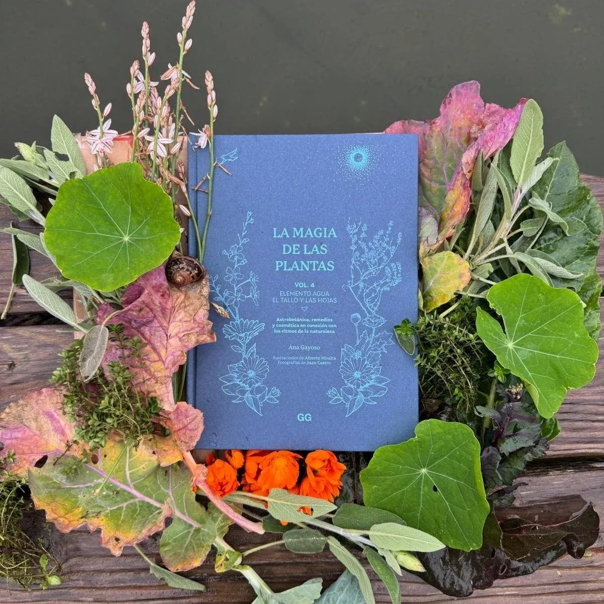 LA MAGIA DE LAS PLANTAS - VOL.4