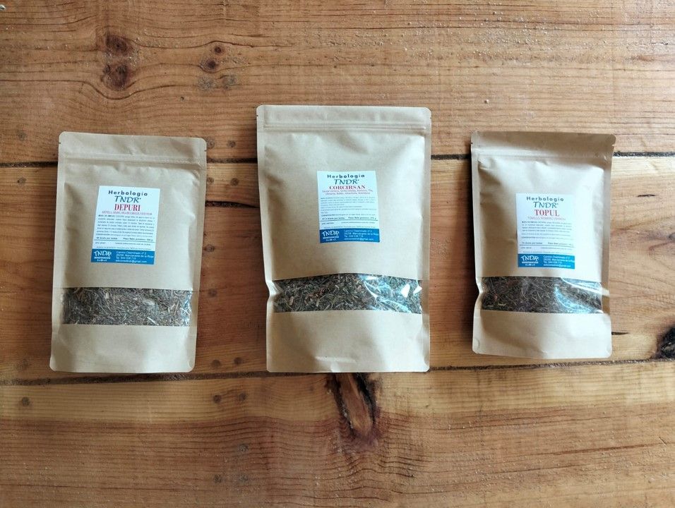 lote saludableMENTE plantas medicinales