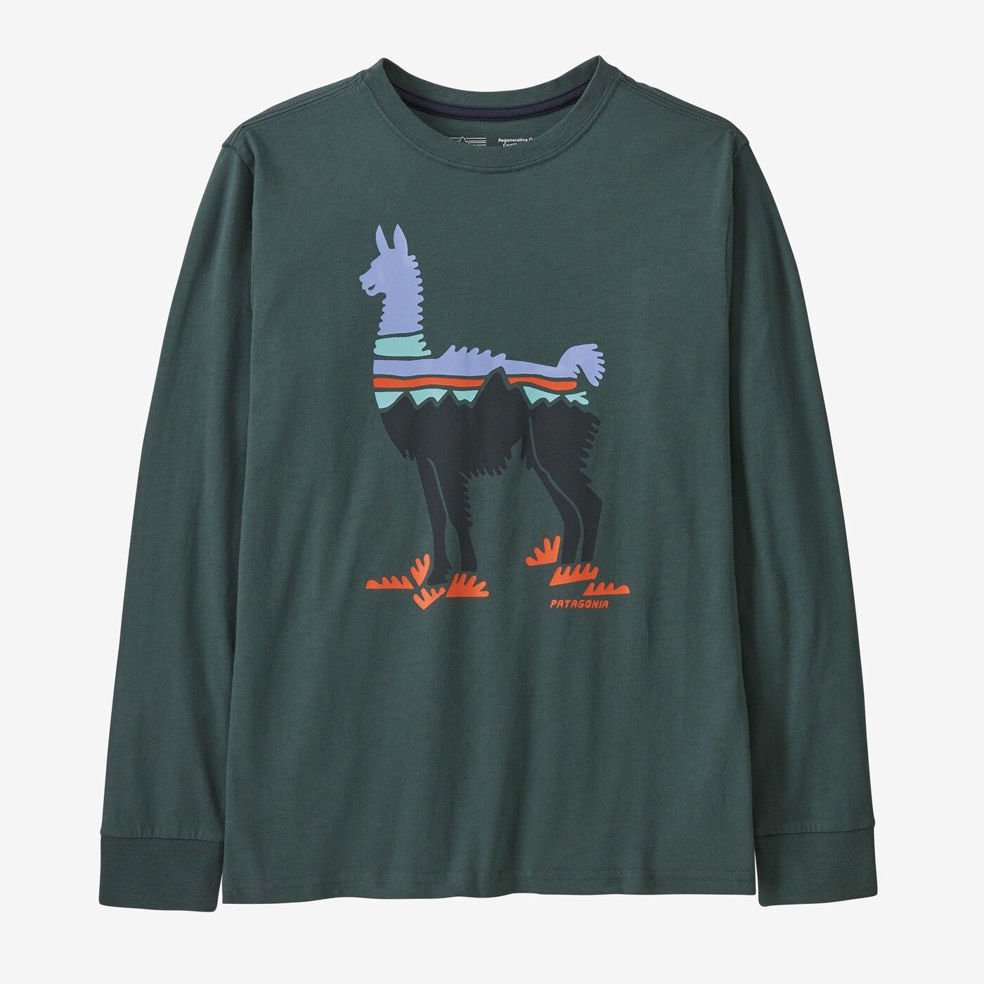 Long Sleeve Graphic T-shirt Kid&#39;s, Color: Fitz Roy Guanaco Nouveau Green, Size: L