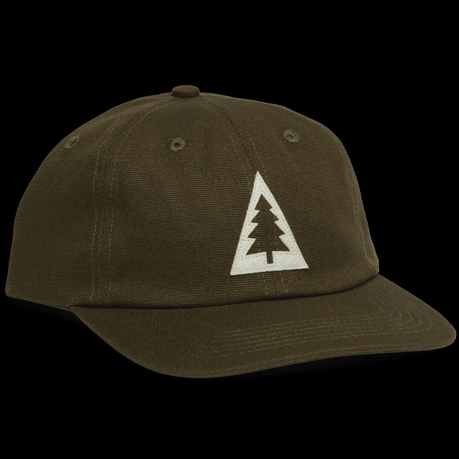 Ponderosa 6-Panel Hat, Color: Moss
