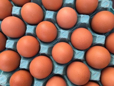 Beechwood Free Range Eggs