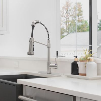 Pull Out Kitchen Faucet with Deck Plate 2 Spray Modes