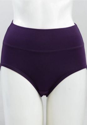 Bamboo High Rise Brief - Plum