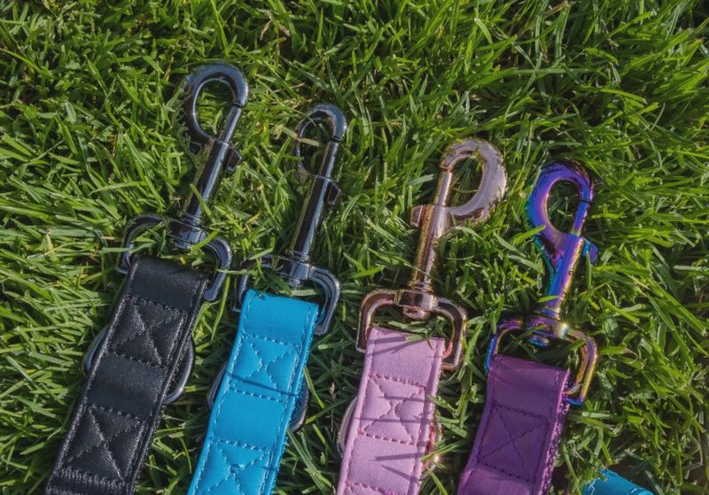 Leashes