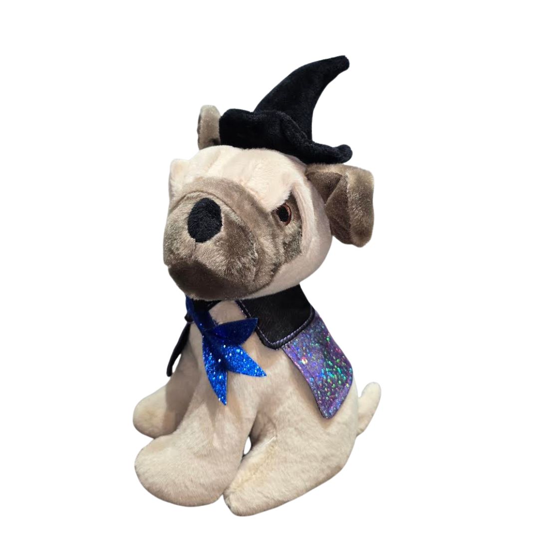 Toy Dog  with Witch Costume