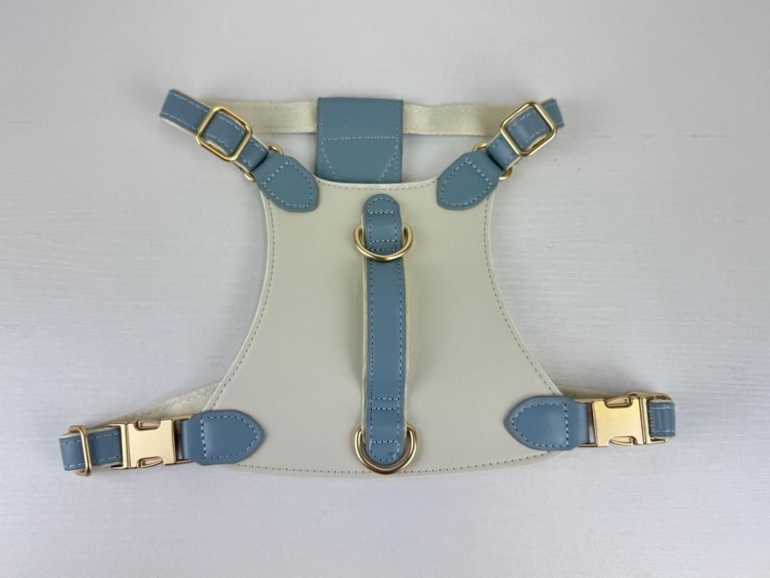 Two Tone Harness with Handle