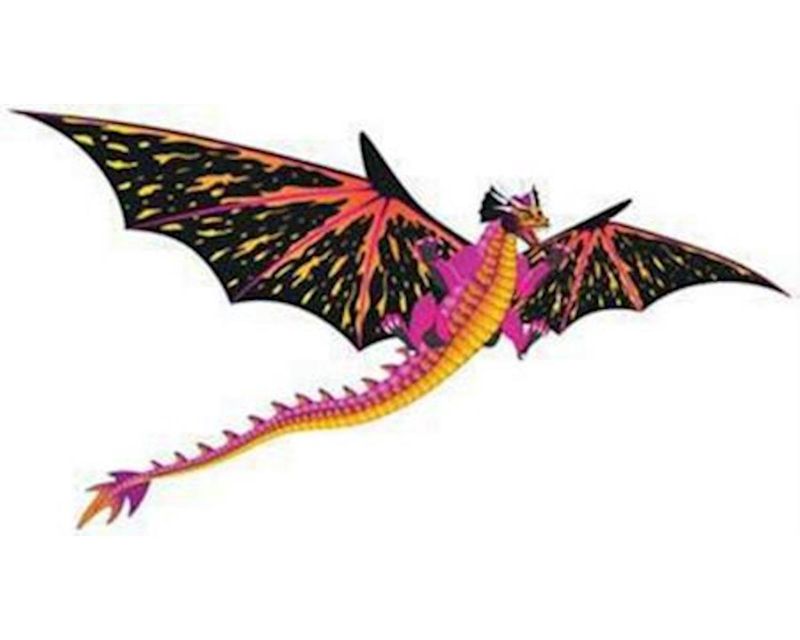 Brain Storm Products Wind N Sun  3D Dragon Kite
