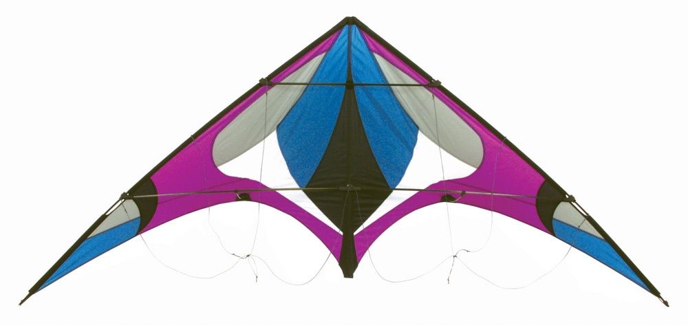 Skydog Kites Freebird Purple