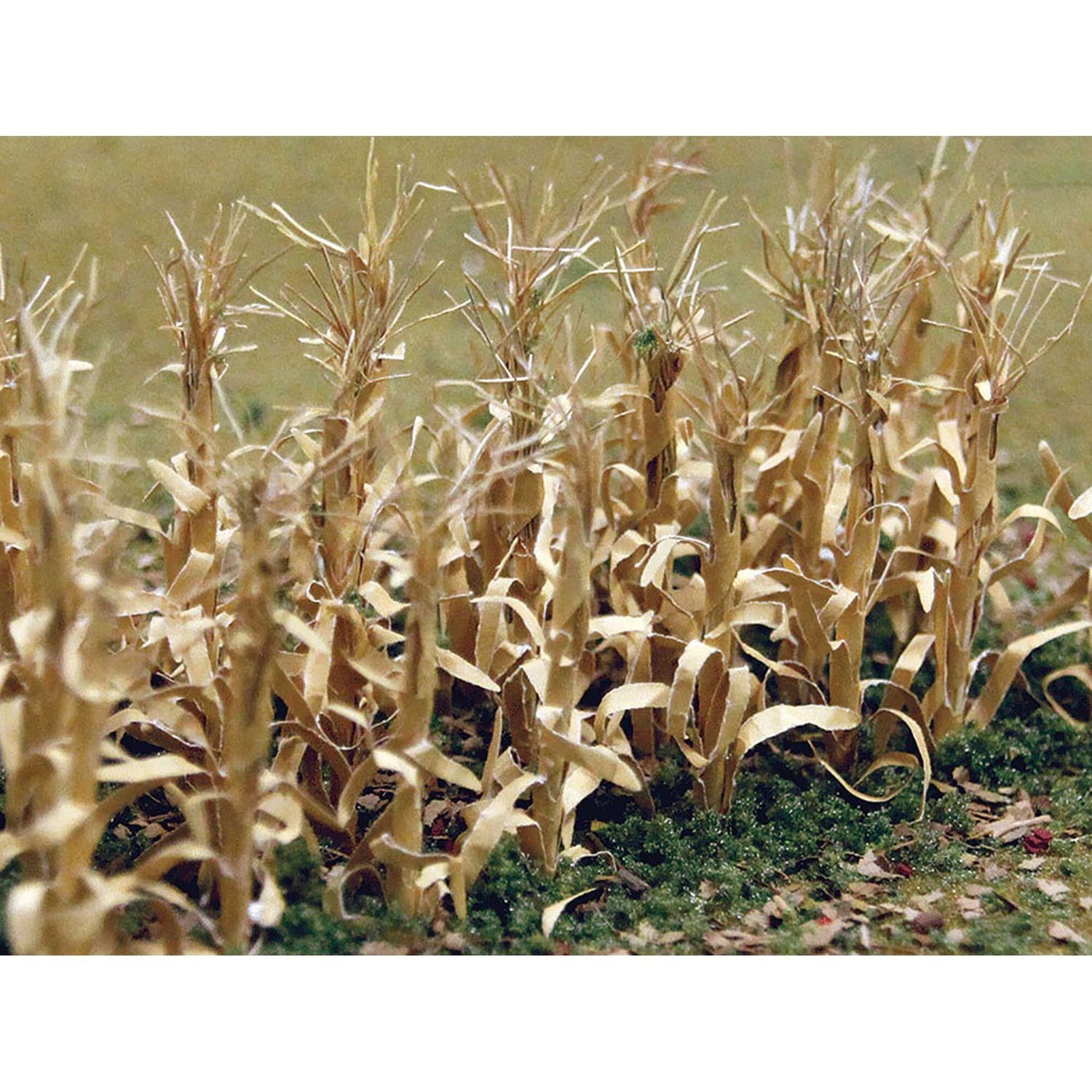 Bachmann Dried Corn Stalks 1''/30pk