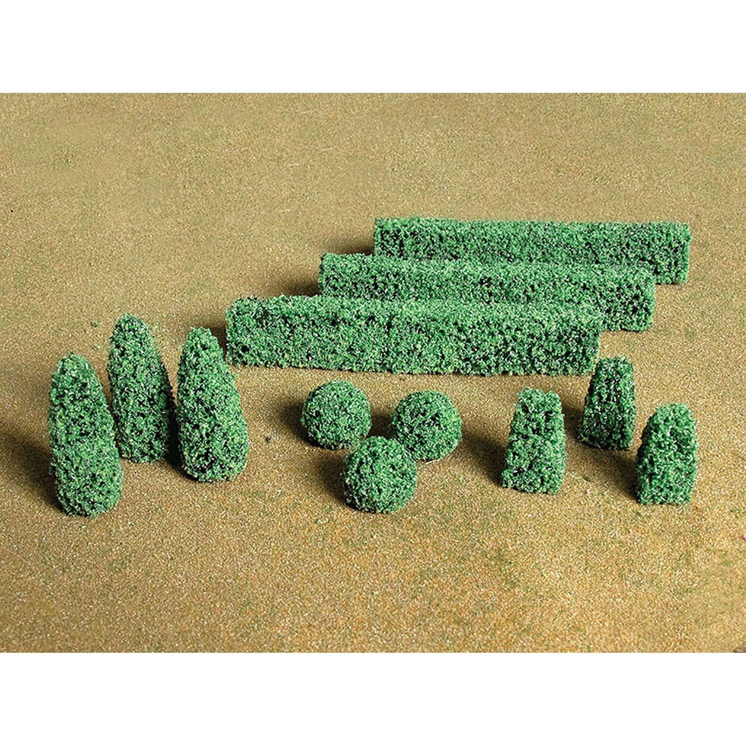 Bachmann Boxwood Plants/20pk