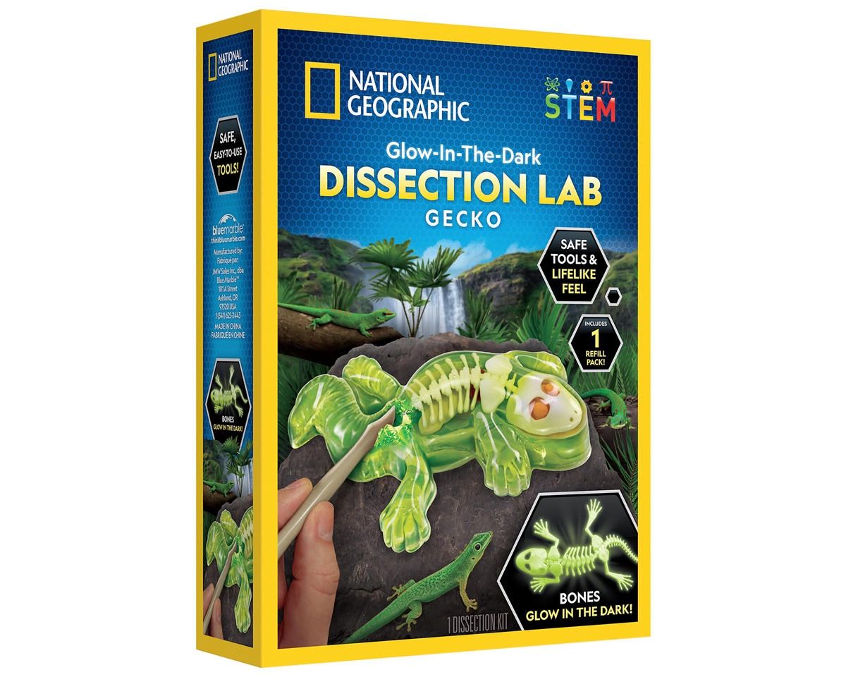 Blue Marble National Geographic Glow-in-the-Dark Gecko Dissection Lab