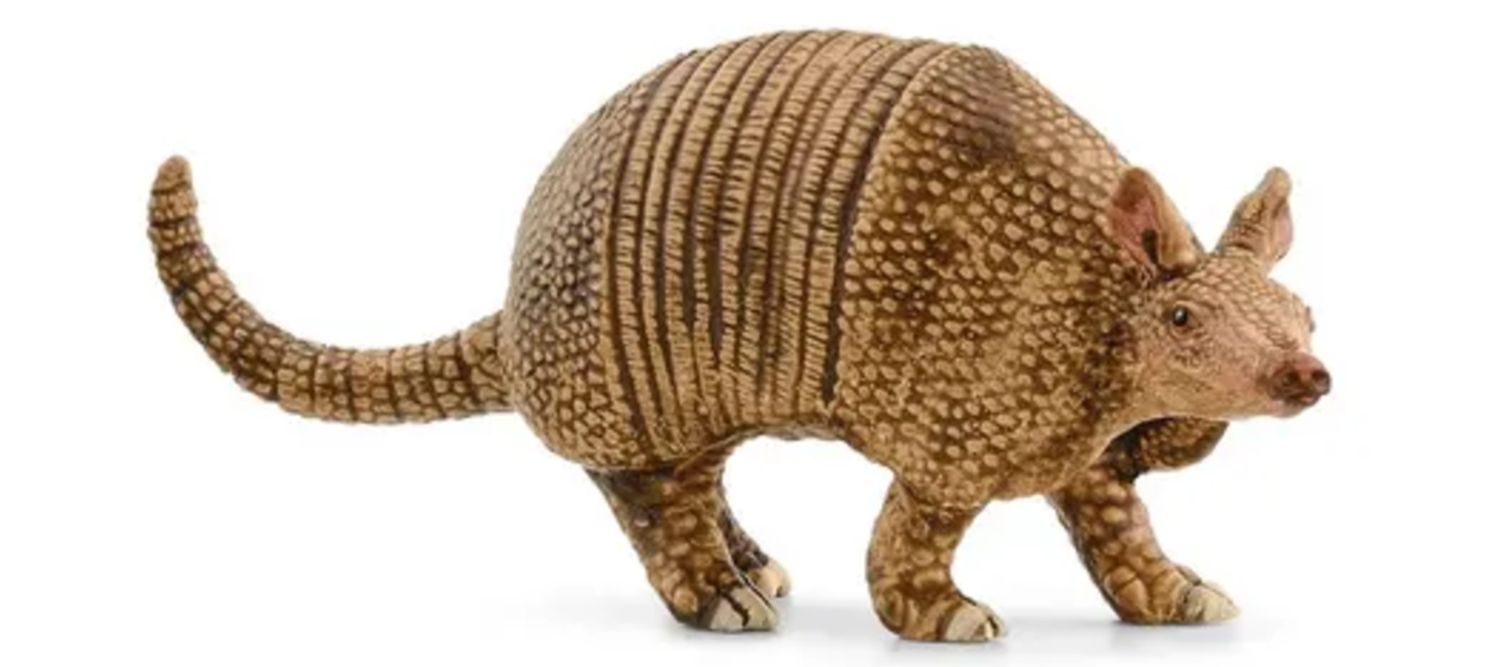 Schleich Armadillo