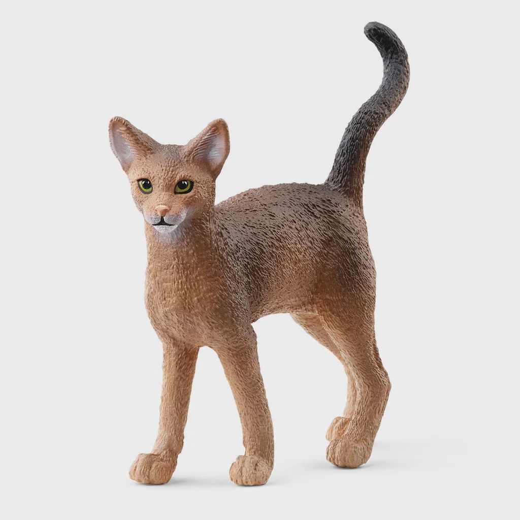 Schleich Abyssinian Cat, Variant: SCK13964