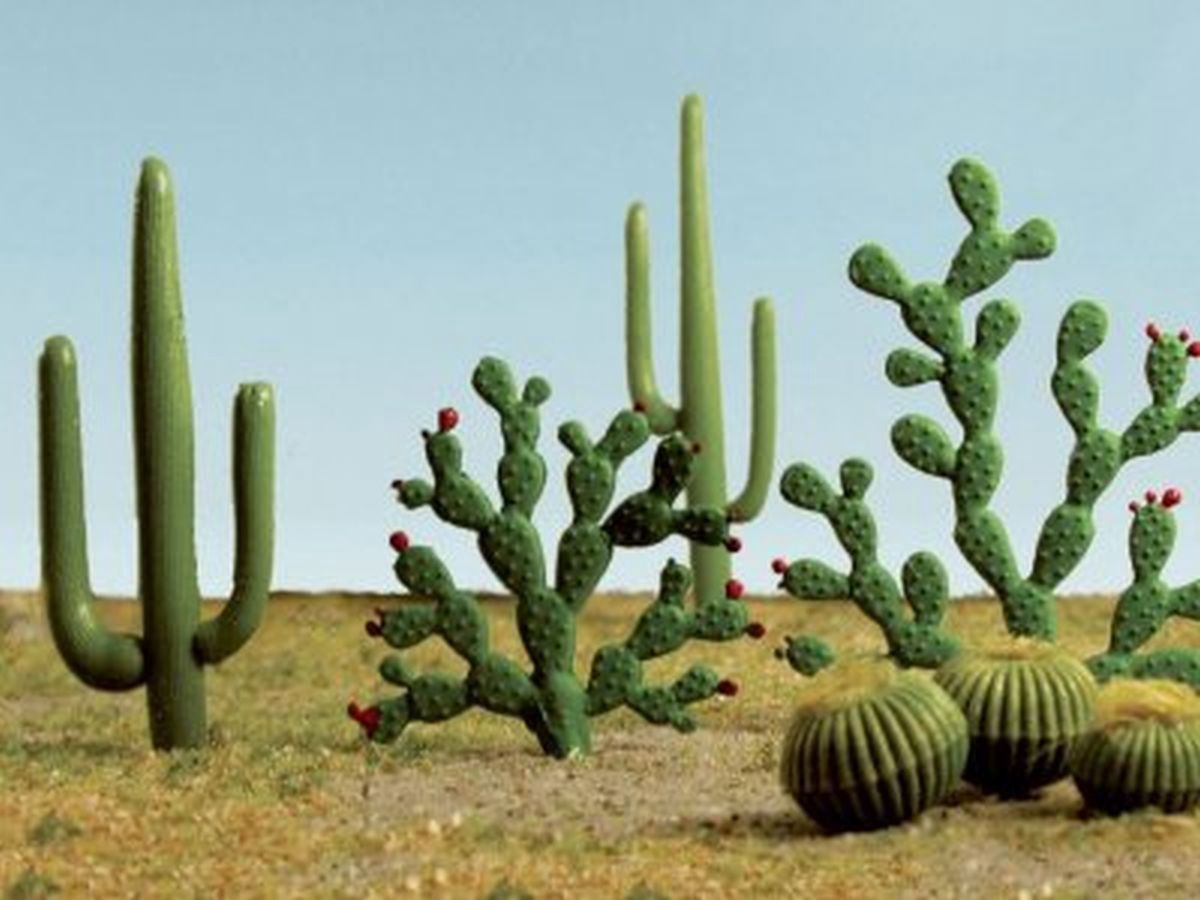 Bachmann Mixed Cacti 1/4 +//0- 2.5/15pk
