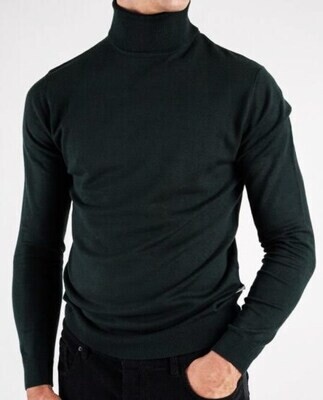 Essential slim turtleneck