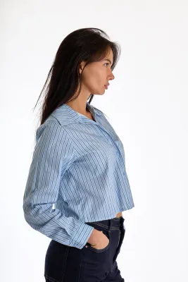 Cropped striped shirt