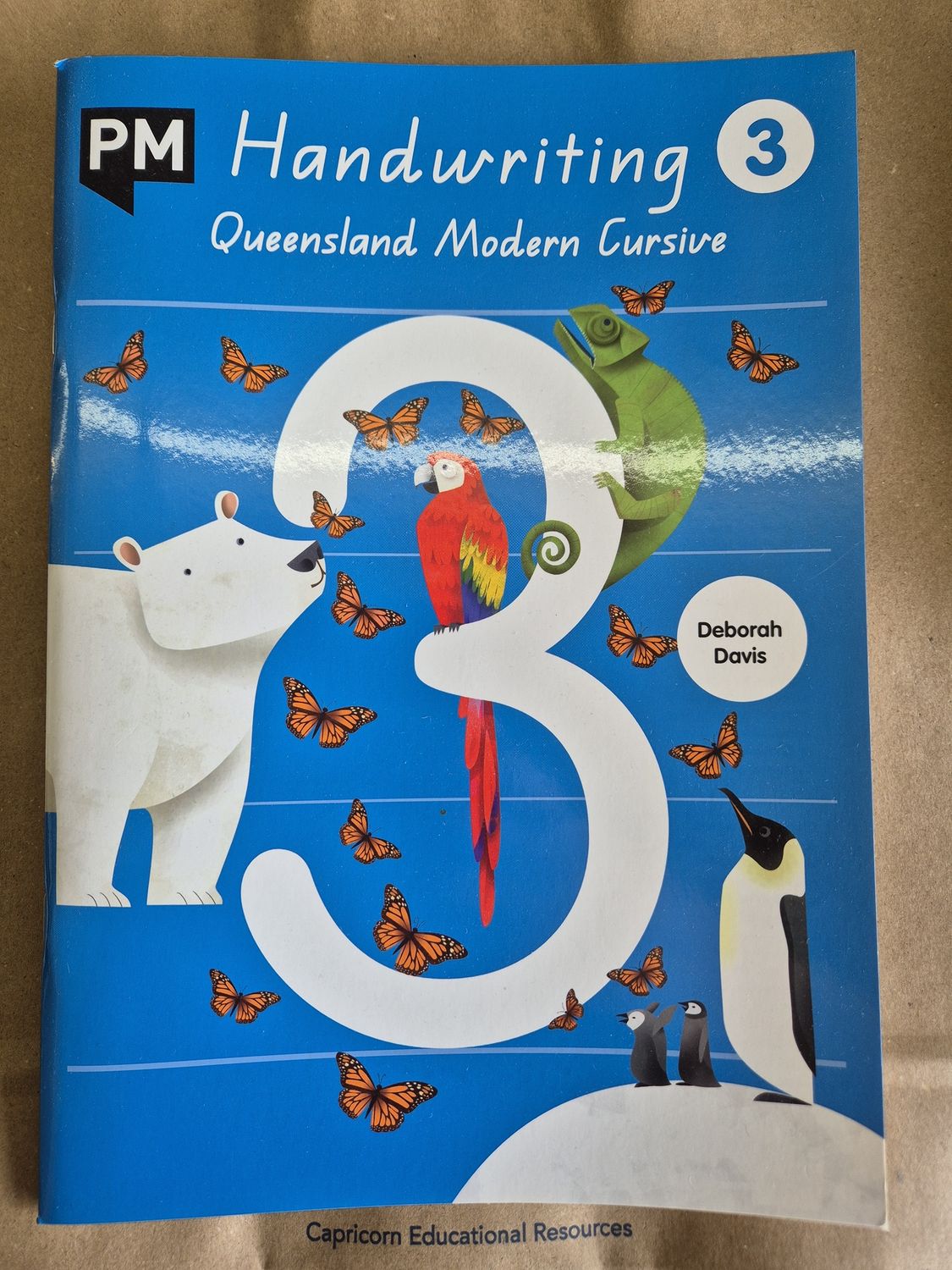 Pm Handwriting Qld 3