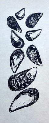 Mussel Shells