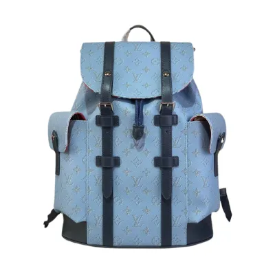 Louis Vuitton Backpack Bag