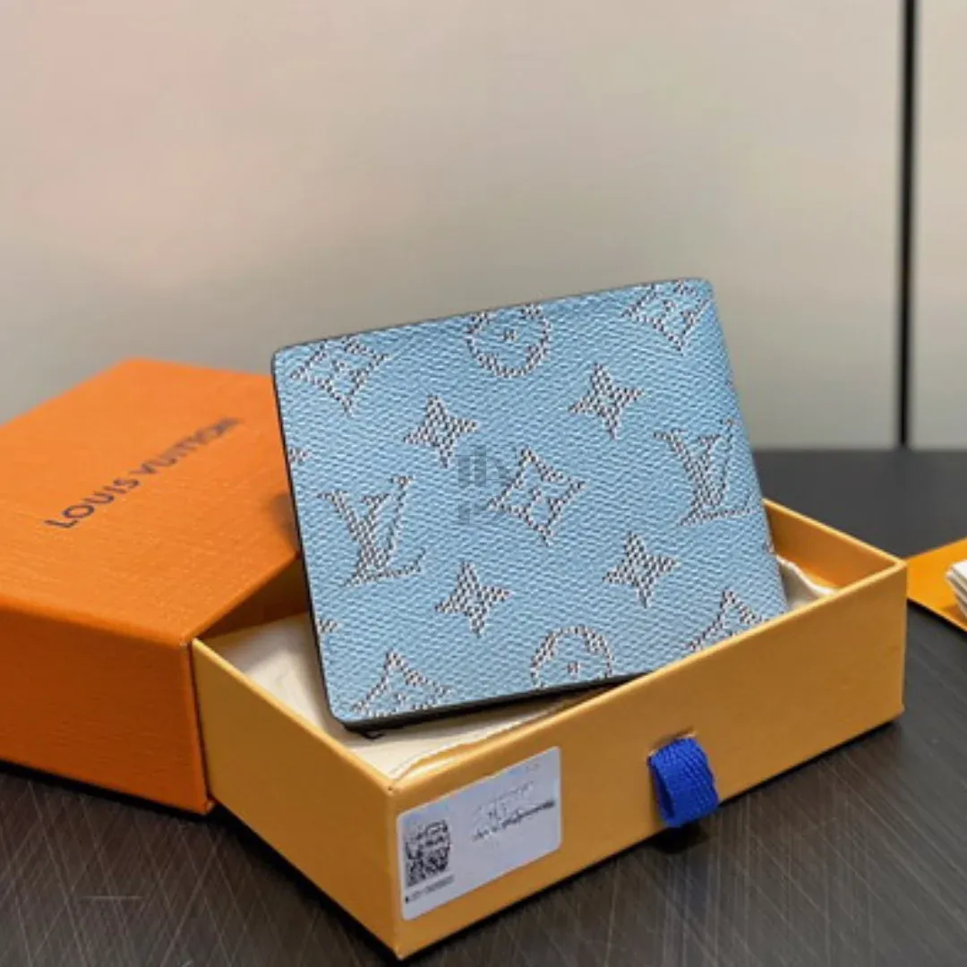 Louis Vuitton Bifold Leather Wallet
