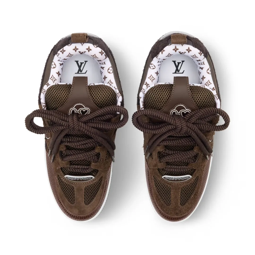 Louis Vuitton LV Skate Sneaker - Brown