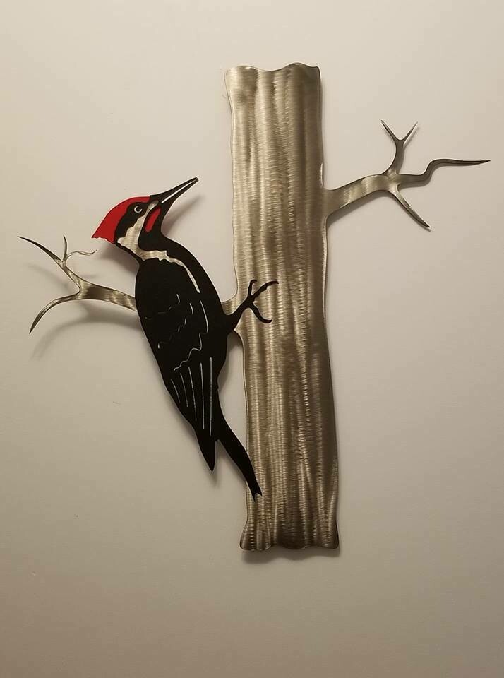 Woodpecker, Pileated on Tree