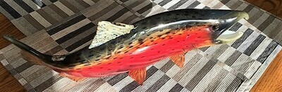Spawning Westcoast Sockeye Salmon Spawning Westcoast Sockeye Salmon