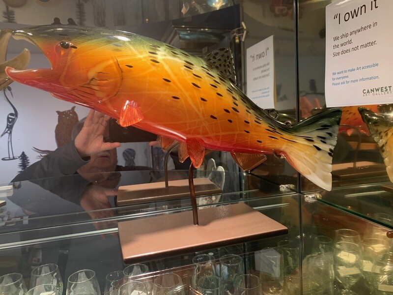 Spawning Coho Salmon, by Andy Nichols Spawning Coho Salmon, by Andy Nichols