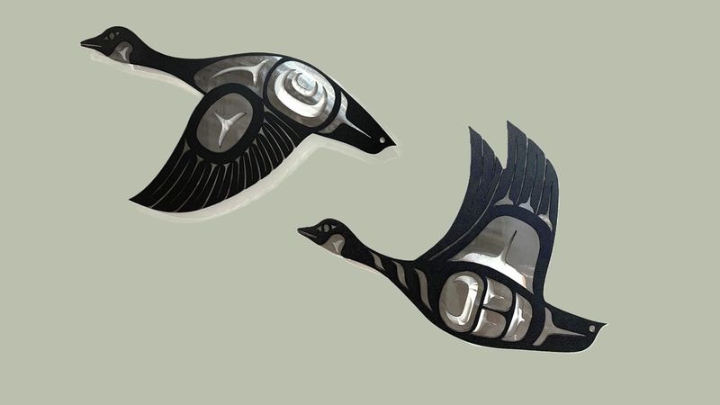 Pair of Canada Geese, Wings Up and Wings Down