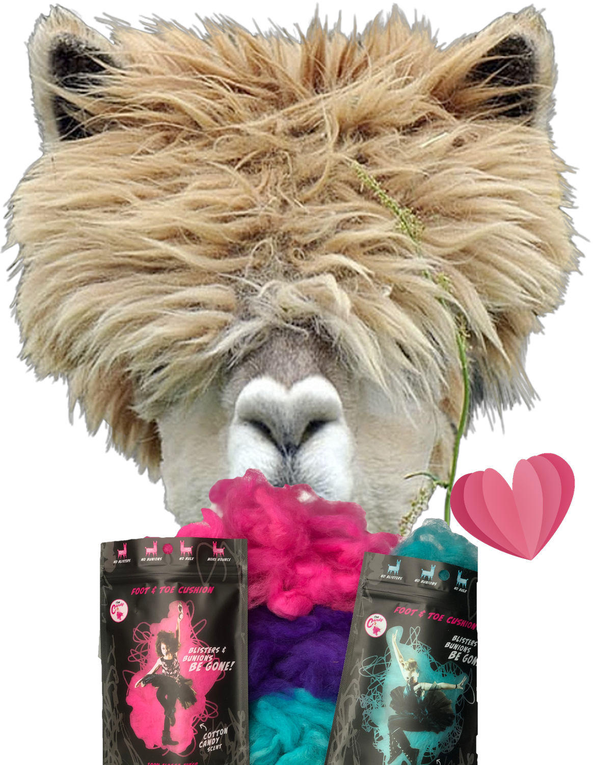 Ballet Rocks Toe Candy Pouch Blue Bubblegum