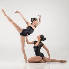 Ballet Rosa Vamp Leotard Noir/Chair XLarge 44