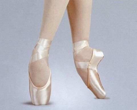 Capezio Aria Pointe Shoe 121 10.0 M