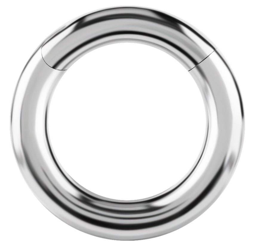 3,2 mm Stainless Steel Clicker Segment Ring 3,2 mm Stainless Steel Clicker Segment Ring