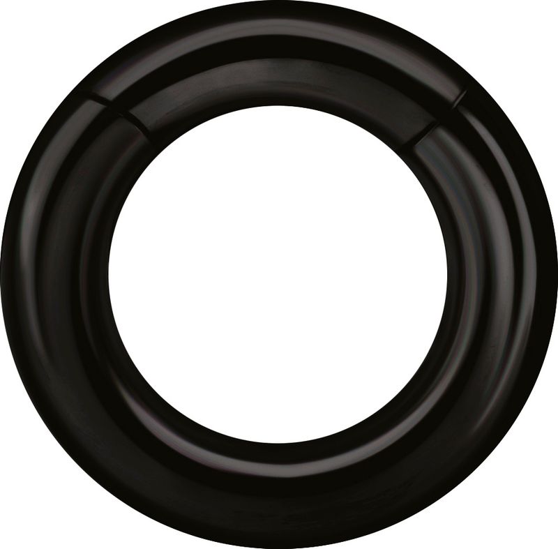 5 mm Black PVD Stainless Steel Clicker Segment Ring