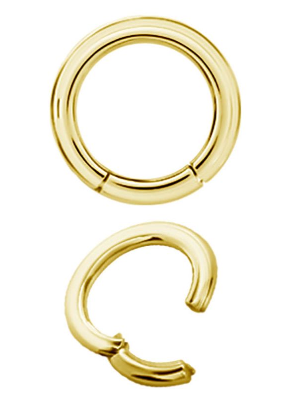 4 mm Gold PVD Stainless Steel Clicker Segment Ring