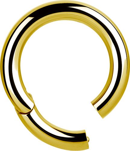 3,2 mm Gold PVD Stainless Steel Clicker Segment Ring