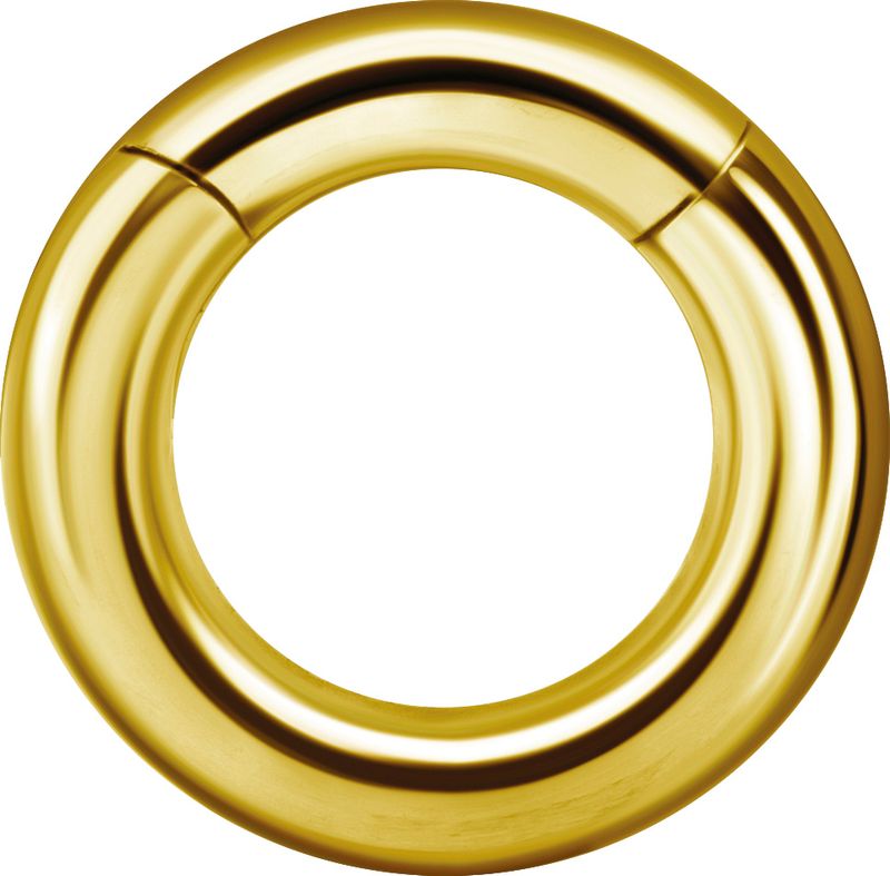 4 mm Gold PVD Stainless Steel Clicker Segment Ring