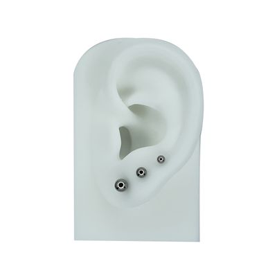 Lobe (Not Stretched)