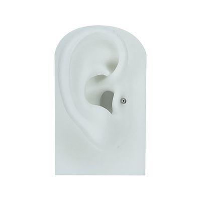 Tragus