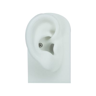 Conch