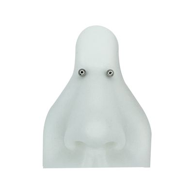 Nosebridge