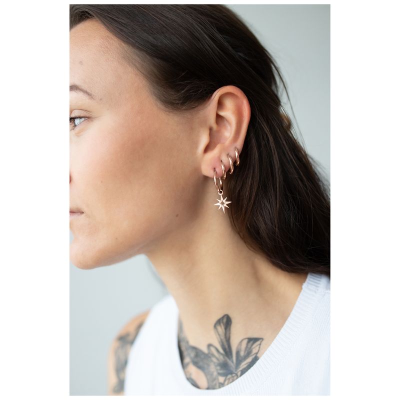 Little Hoops - Rosegold Polar Star