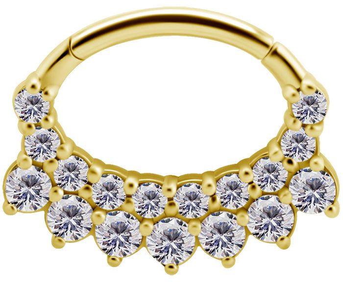 Stainless Steel Double Row Crystal Oval Daith Clicker Gold PVD