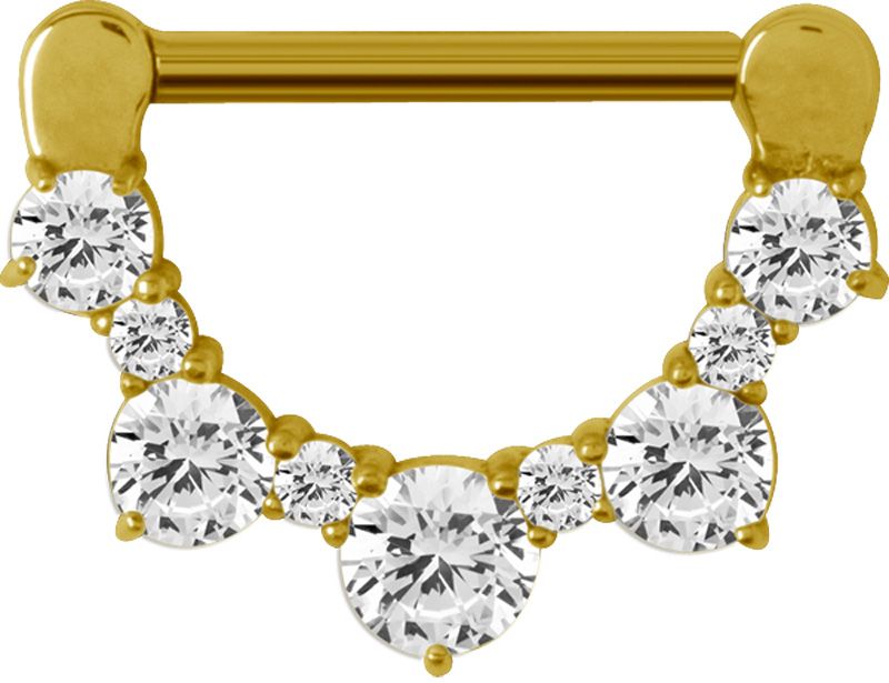 Stainless Steel Alternating Crystal Nipple Clicker Gold PVD