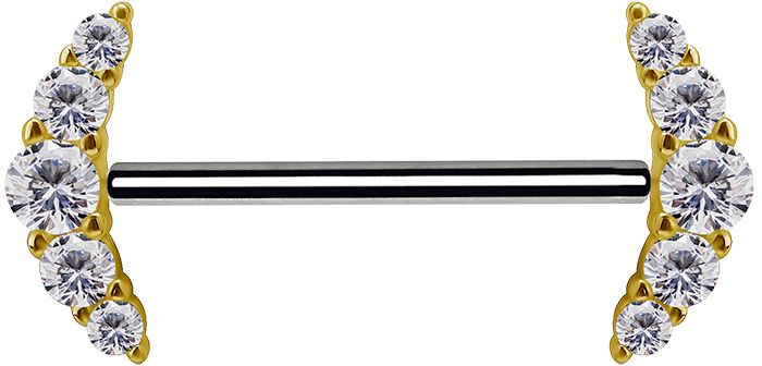 18K Solid Gold & Titanium Nipple Barbell - Prium