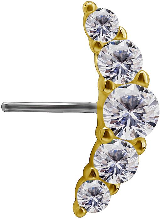 18K Solid Gold & Titanium Nipple Barbell - Prium