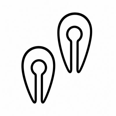 Earweights
