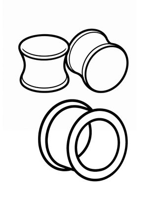 Plugs & Tunnels