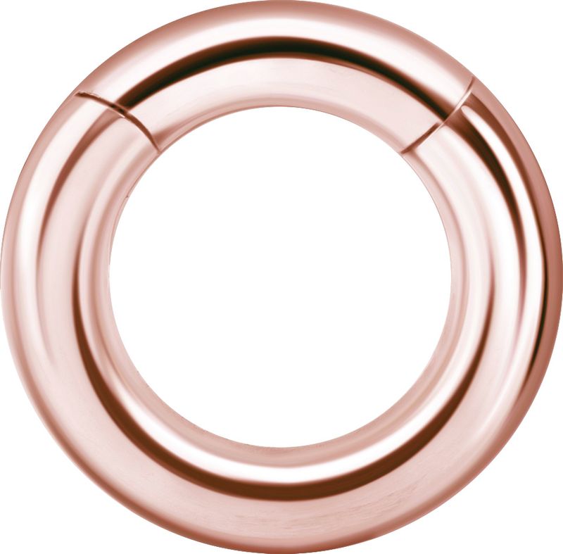 4 mm Rosegold PVD Stainless Steel Clicker Segment Ring